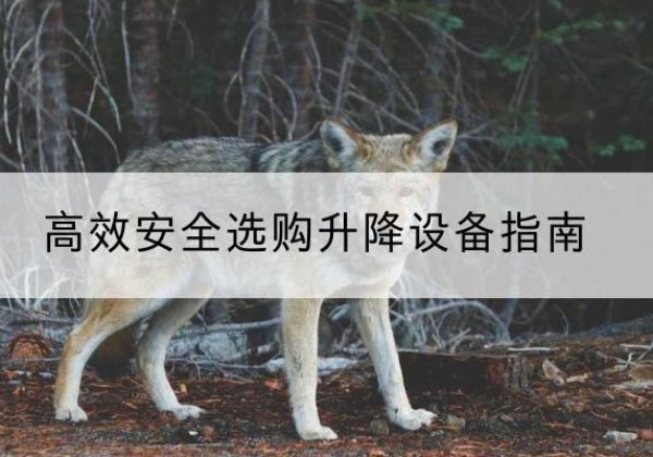 长春升降货梯厂家推荐-*安全选购升降设备指南