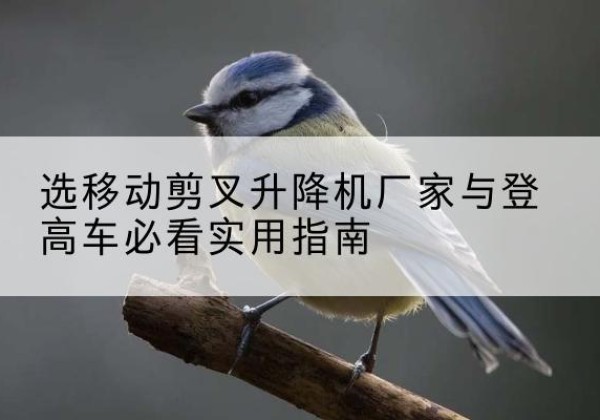 长春电动升降机厂家-选移动剪叉升降机厂家与登高车必看实用指南