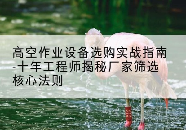 长春剪叉式升降机厂家-高空作业设备选购实战指南-十年工程师揭秘厂家筛选核心法则